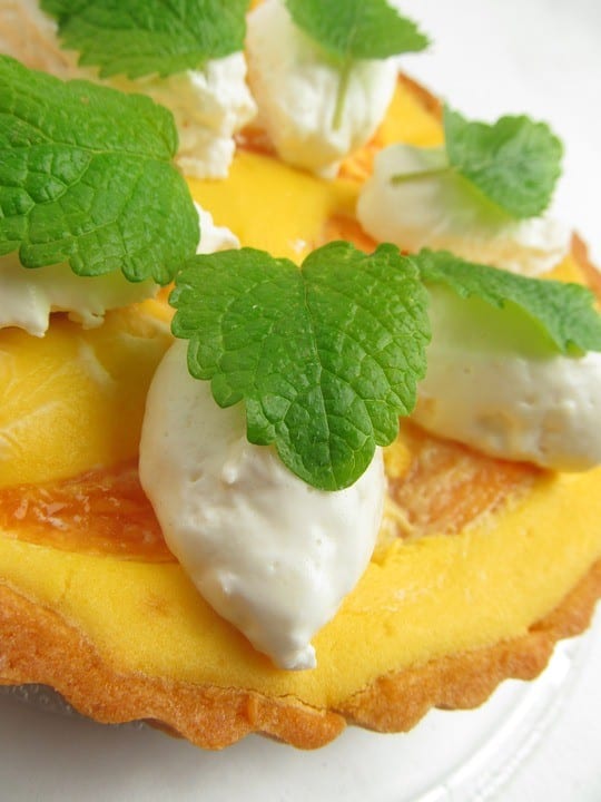 Torta di ricotta